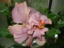 DSC05056