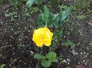 20160414_093236