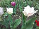 20160414_143159