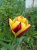 DSC03002
