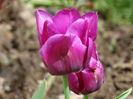 DSC03024