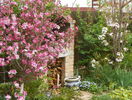 malus Rudolph si prunus Amanogawa