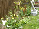 14 apr (24)