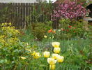 14 apr (36)