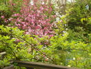 14 apr (79)