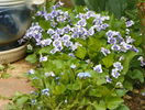 14 apr (13)
