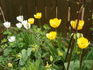14 apr (25)
