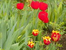 14 apr (42)