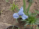 Blue denim
