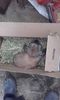 20160415_072716[1]