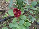 IMG_20160415_090132