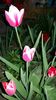 20160414_183335