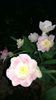 20160414_183240