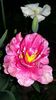 20160414_183058