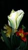 20160414_183031