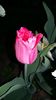 20160414_182953