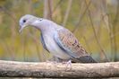 FB_IMG_1460700502539