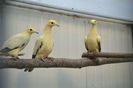 FB_IMG_1460700517267