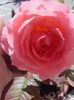 20160415_114908