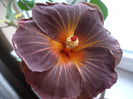 P1250766