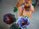 P1250780