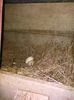 IMG_20160415_195935