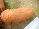 DSCN0323