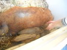 DSCN0324