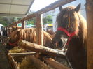 DSCN0356