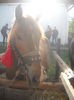 DSCN0357