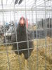 DSCN0362