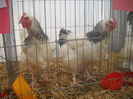 DSCN0365