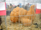 DSCN0377