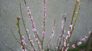 P1140834