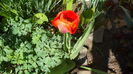 P1140848