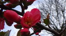 DSC06250