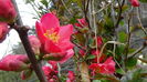 DSC06255
