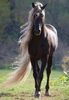 FB_IMG_1460787310287