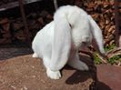 IMG_20160416_125927