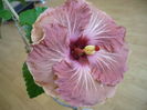 P1250804