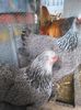 IMG_20160312_112142
