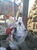 IMG_20160312_112647