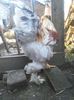 IMG_20160312_112712
