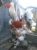 IMG_20160312_112734