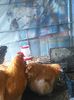 IMG_20160312_113256