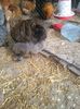 IMG_20160312_113413