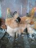 IMG_20160312_114032