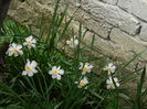 DSCN4656