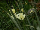 DSCN4670