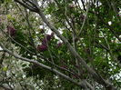DSCN4686